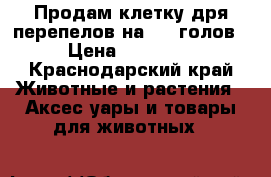 Продам клетку дря перепелов на 360 голов › Цена ­ 18 500 - Краснодарский край Животные и растения » Аксесcуары и товары для животных   